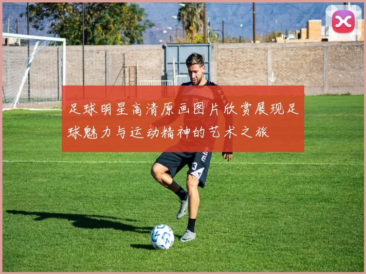 足球明星高清原画图片欣赏展现足球魅力与运动精神的艺术之旅