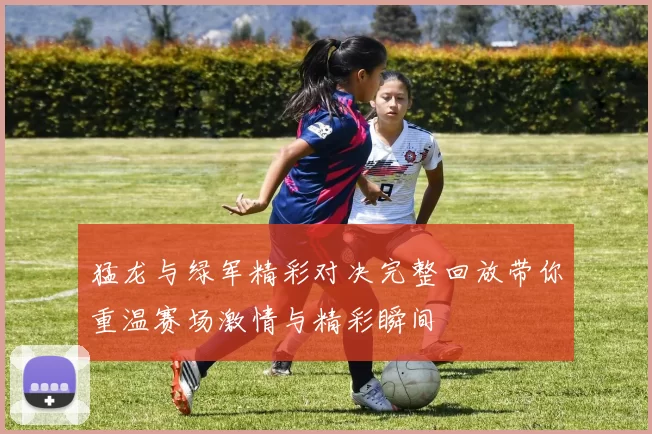 猛龙与绿军精彩对决完整回放带你重温赛场激情与精彩瞬间